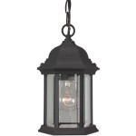 Hex Style 1 Light Pendant in Matte Black with Clear Beveled Glass