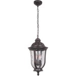 Frances 2 Light Pendant in Oiled Bronze with Clear Hammered Glass