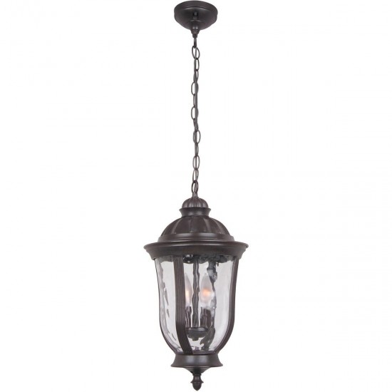 Frances 2 Light Pendant in Oiled Bronze with Clear Hammered Glass