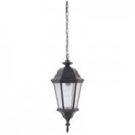 Chadwick 1 Light Pendant in Midnight with Clear Seeded Glass