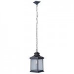 Gentry 1 Light Medium Pendant in Midnight with Clear Seeded Glass