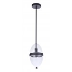 1 Light Outdoor Pendant, ZA3511-MN