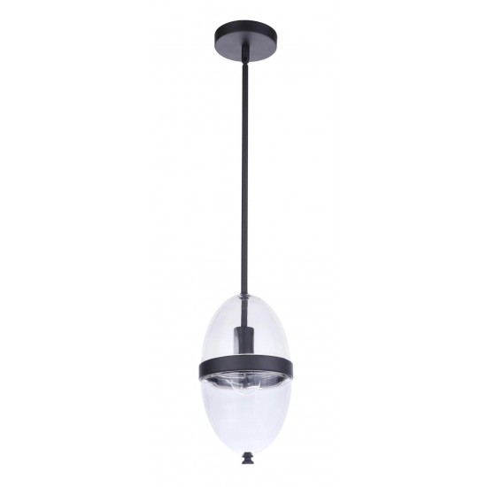 1 Light Outdoor Pendant, ZA3511-MN