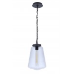 1 Light Outdoor Pendant, ZA3821-MN