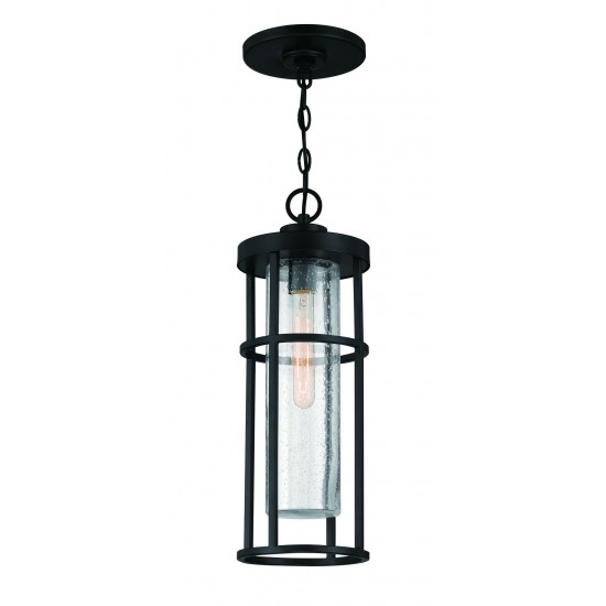 1 Light Pendant, ZA4211-MN