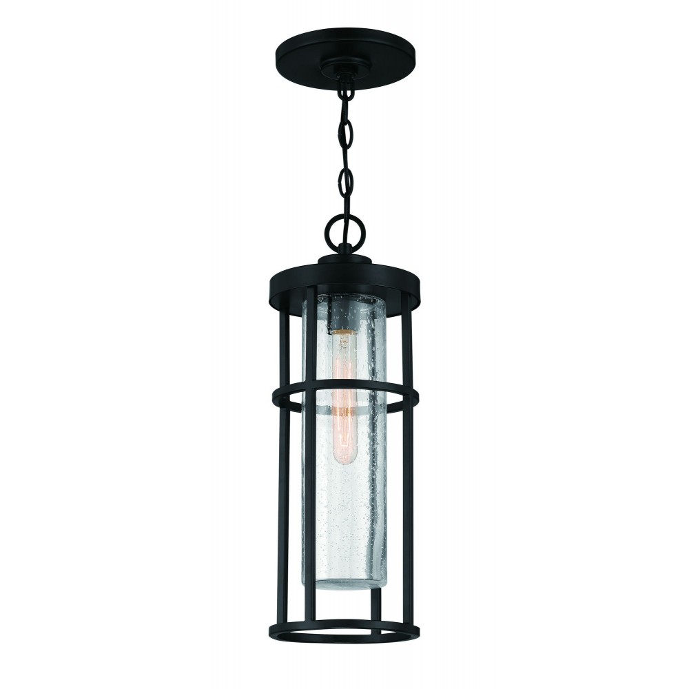 1 Light Pendant, ZA4211-MN