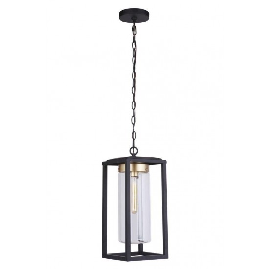 Neo Outdoor Pendant 1 Light Midnight / Satin Brass