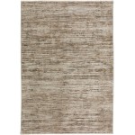 Denizi DZ1 Mocha 7'10" x 10' Rug