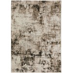 Denizi DZ2 Putty 3'3" x 5'3" Rug