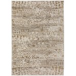 Denizi DZ6 Mocha 5'3" x 7'8" Rug
