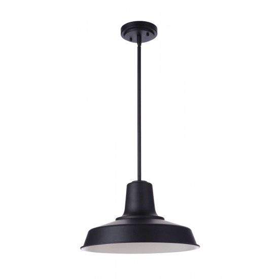 Briscoe 15" Outdoor Pendant 1 Light - MN, Damp Rated