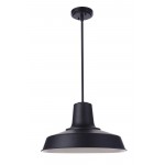 Briscoe 18" Outdoor Pendant 1 Light - MN, Damp Rated