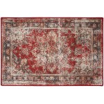 Jericho JC6 Garnet 2' x 3' Rug