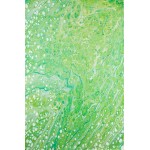 Kikiamo KK5 Lime-In 2'3" x 7'6" Runner Rug