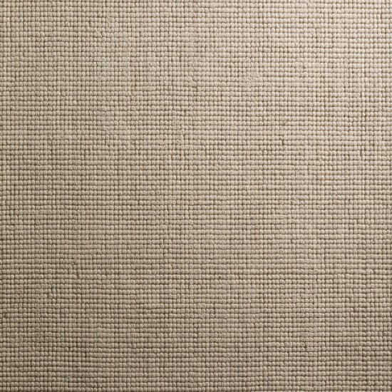 Monaco Sisal MC300 Ivory 10' x 10' Octagon Rug