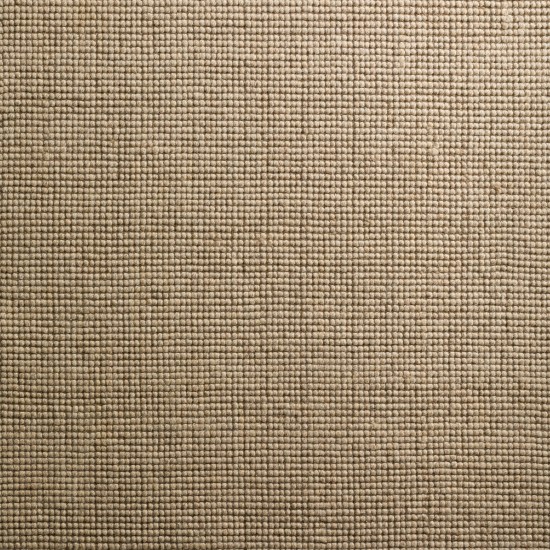 Monaco Sisal MC300 Oatmeal 10' x 14' Rug