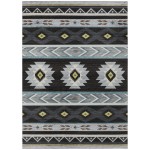 Indoor/Outdoor Phoenix PH3 Black Washable 10' x 14' Rug