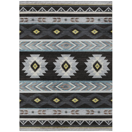 Indoor/Outdoor Phoenix PH3 Black Washable 3' x 5' Rug