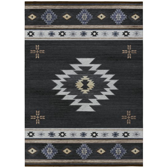 Indoor/Outdoor Phoenix PH4 Black Washable 10' x 14' Rug