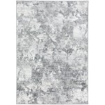 Rhodes RR4 Gray 3'2" x 5'1" Rug