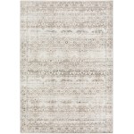 Rhodes RR7 Taupe 3'2" x 5'1" Rug