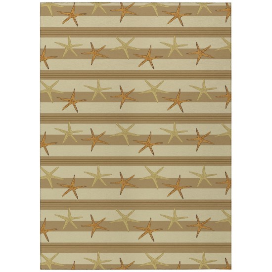 Indoor/Outdoor Seabreeze SZ12 Beige Washable 10' x 14' Rug