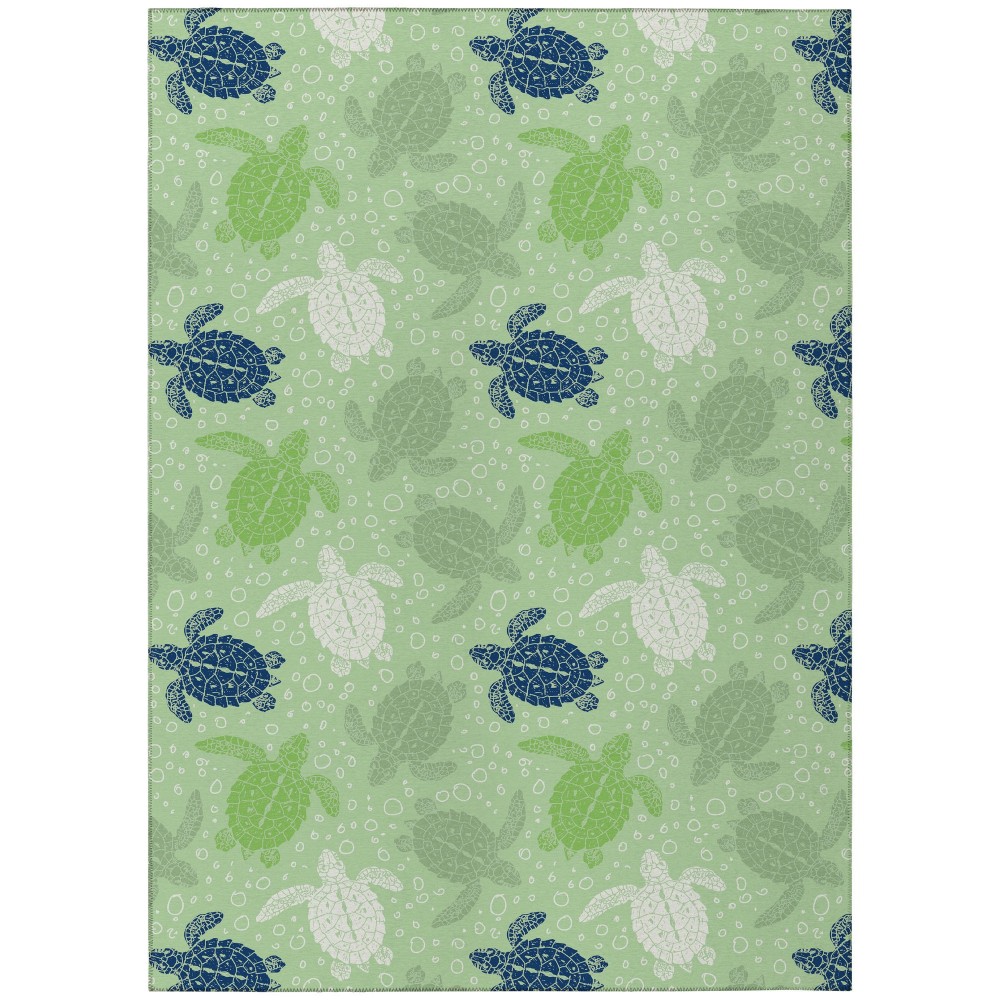 Indoor/Outdoor Seabreeze SZ13 Aloe Washable 8' x 10' Rug