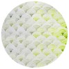 Indoor/Outdoor Seabreeze SZ5 Lime-In Washable 8' x 8' Round Rug