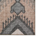 Indoor/Outdoor Sedona SN2 Bison Washable 9' x 12' Rug