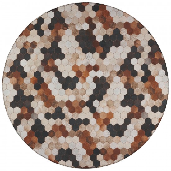 Indoor/Outdoor Stetson SS9 Canyon Washable 10' x 10' Round Rug