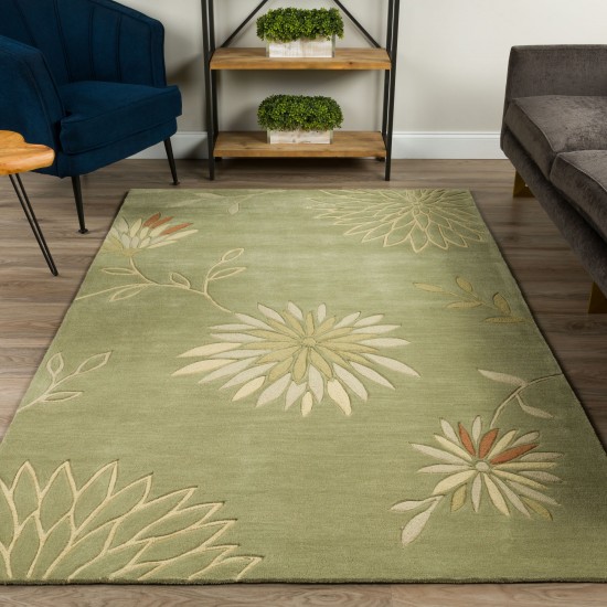 Studio SD301 Aloe 3'6" x 5'6" Rug