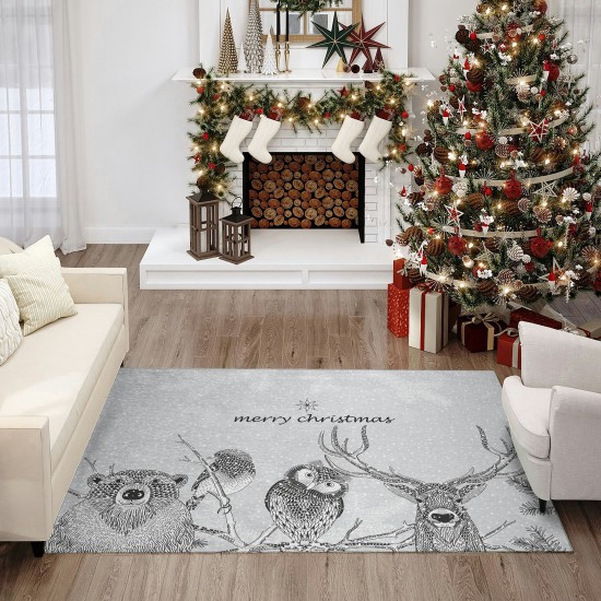 Indoor/Outdoor Wonderland WN10 Flannel Washable 30" x 46" Rug