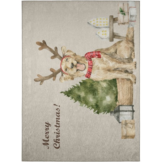 Indoor/Outdoor Wonderland WN8 Beige Washable 3' x 5' Rug