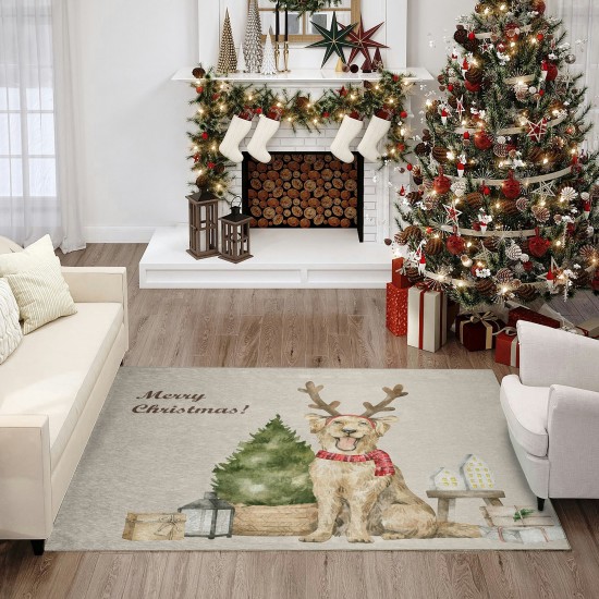 Indoor/Outdoor Wonderland WN8 Beige Washable 3' x 5' Rug