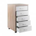 Kenner 5-Drawer Cabinet, Reclaimed Wood and White