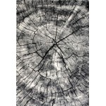 Aden-Ad3372-Lightgrey-Canada-Cad337258-5.3X7.6 Area Rug