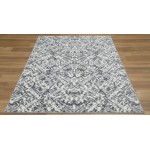 Aden Promo-Lsp10561-5X7 Area Rug