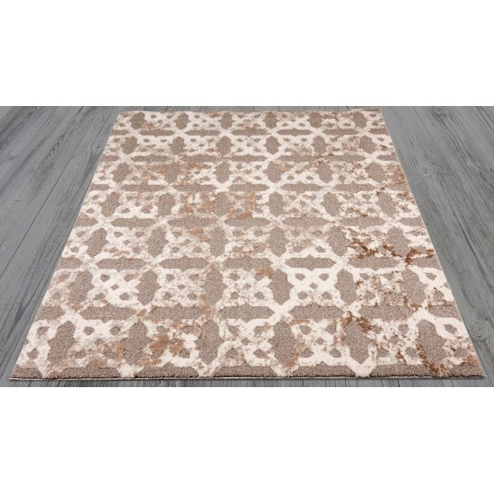 Amazon-Az-018-5.3 X 7.6 Area Rug