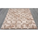 Amazon-Az-018-7.10 X 10.6 Area Rug