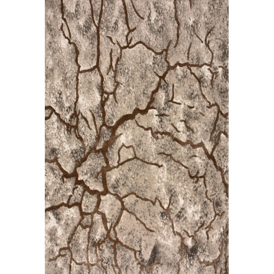 Amazon-Az10403-Brown-5.3 X 7.6 Area Rug