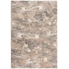 Amazon-Az10405-5.3 X 7.6 Area Rug