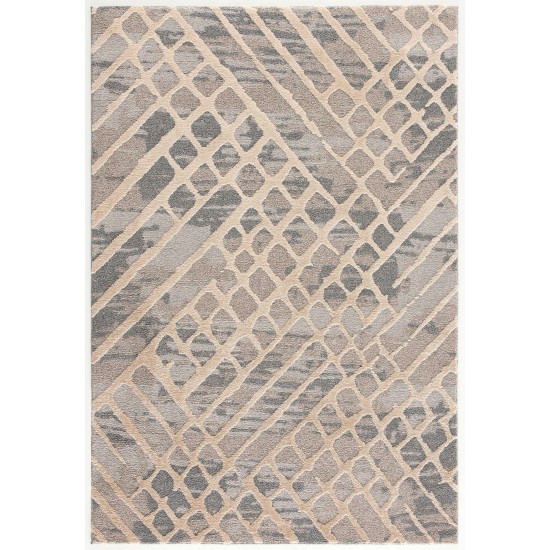 Amazon-Az10415-Gray_Beige-5.3 X 7.6 Area Rug