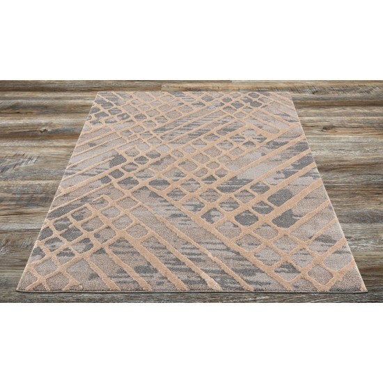 Amazon-Az10415-Gray_Beige-5.3 X 7.6 Area Rug