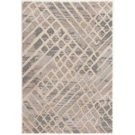 Amazon-Az10415-Gray_Beige-7.10 X 10.6 Area Rug