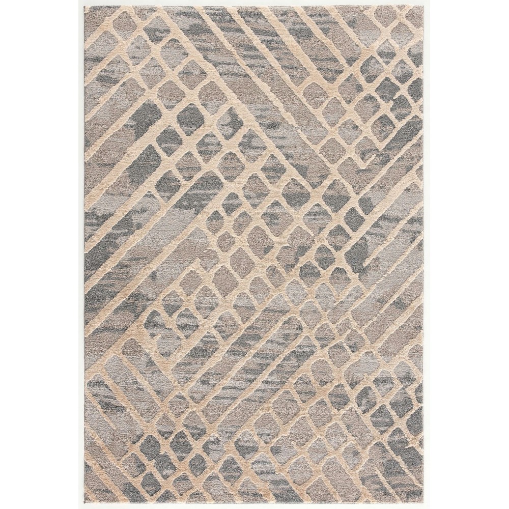 Amazon-Az10415-Gray_Beige-7.10 X 10.6 Area Rug