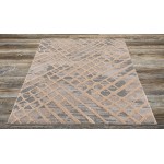 Amazon-Az10415-Gray_Beige-7.10 X 10.6 Area Rug