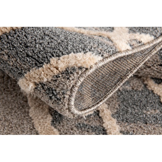 Amazon-Az10415-Gray_Beige-7.10 X 10.6 Area Rug