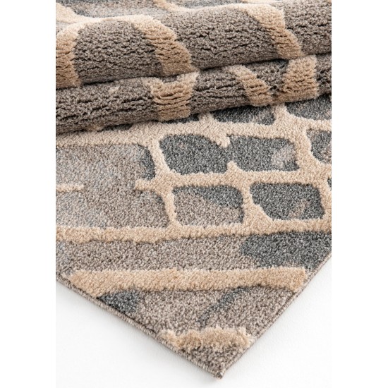 Amazon-Az10415-Gray_Beige-7.10 X 10.6 Area Rug