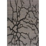 Amazon-Az10428-Gray-5.3 X 7.6 Area Rug