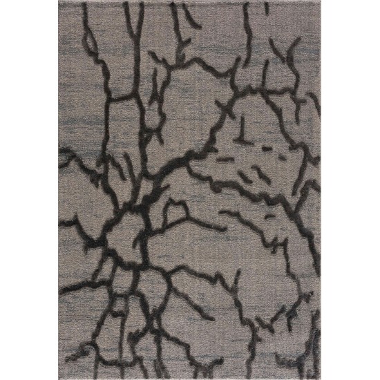 Amazon-Az10428-Gray-5.3 X 7.6 Area Rug